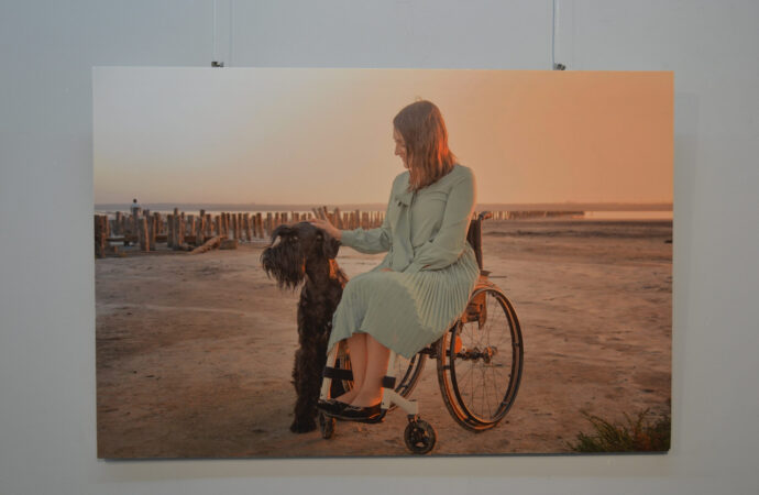 реабилитация, канистерапия