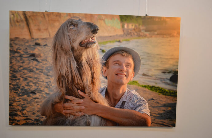 собаки лечат