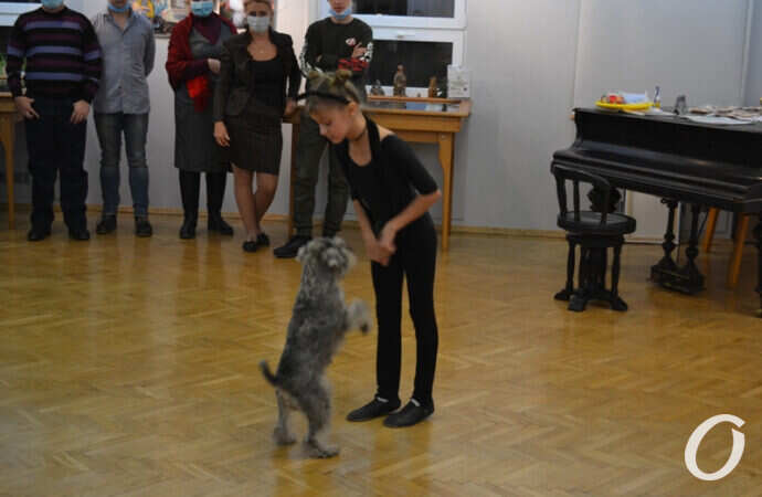 девочка и собака