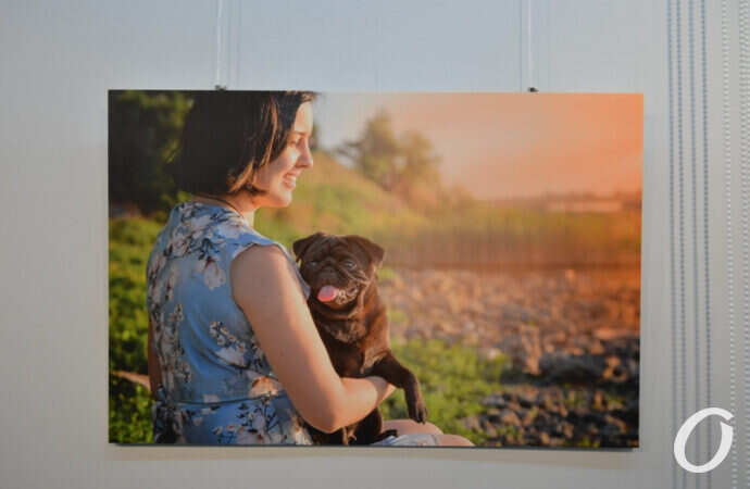 канистерапия на фото