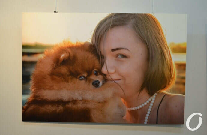 дети и собаки