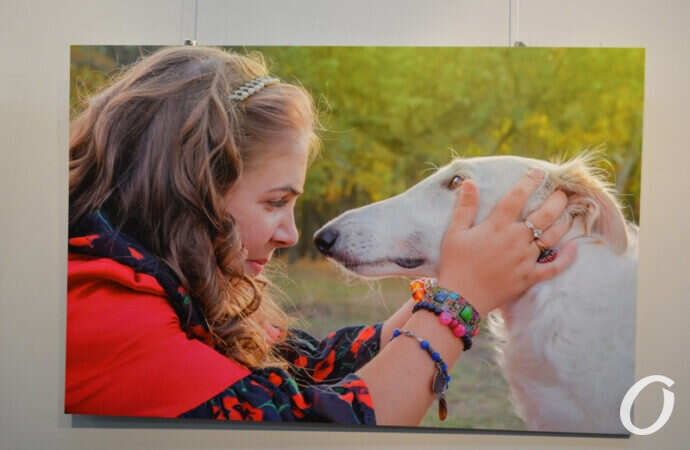 Выставка в «Доме с ангелом»: как собаки делают счастливыми особенных одесситов? (фото)