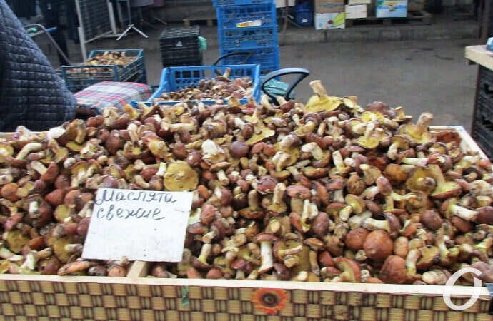 грибы на Привозе