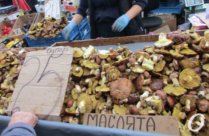 продают грибы