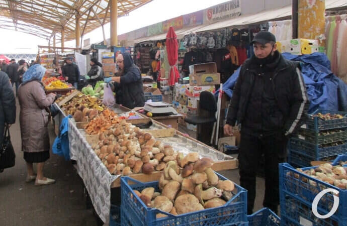 торгуют грибами