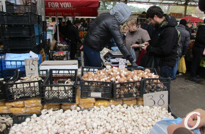 покупают грибы