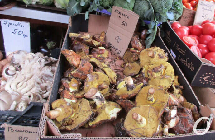 грибы, рынок