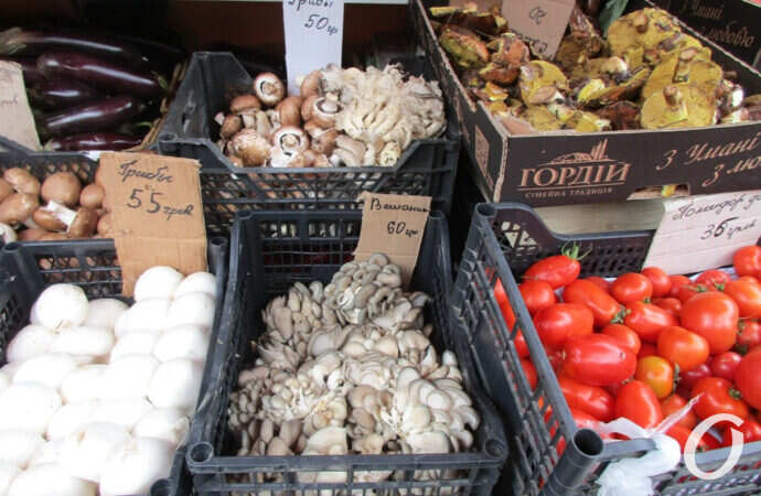 грибы, цены