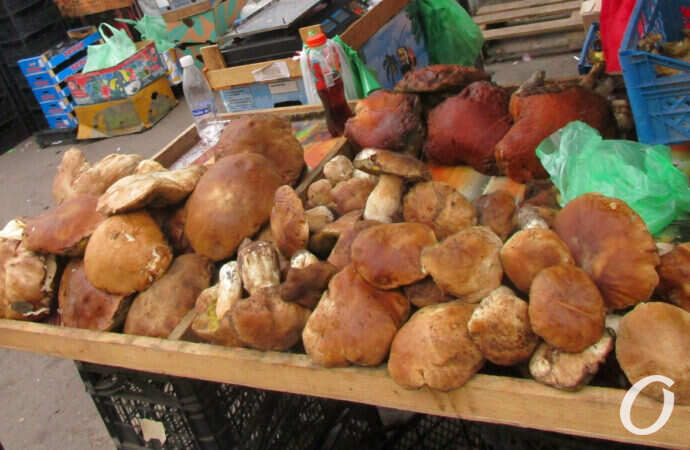 грибы на рынке