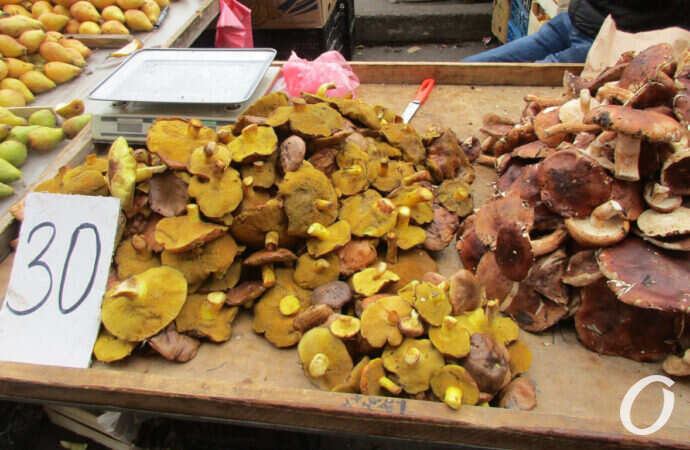 грибы, торговля грибами