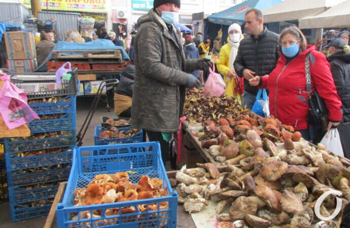 Привоз, грибные ряды