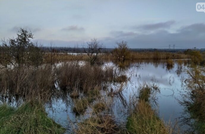 В Одесской области вышло из берегов водохранилище