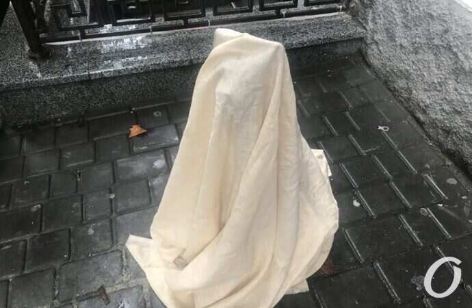 кот-джентельмен