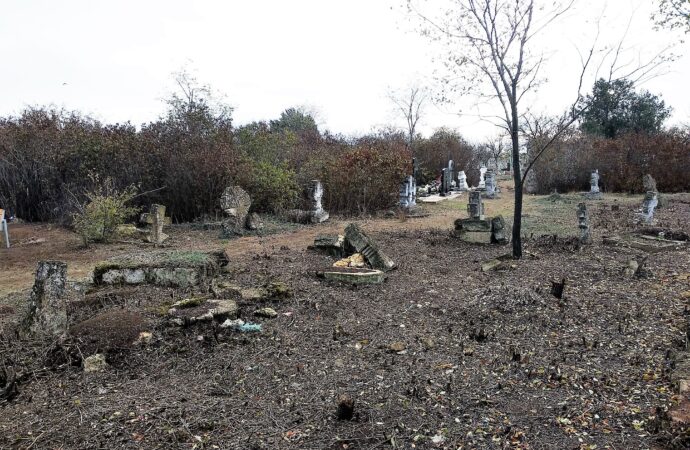 кладбище, расчистка