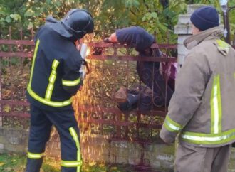 В Одесской области мужчину проткнул забор: вмешались спасатели (фото)