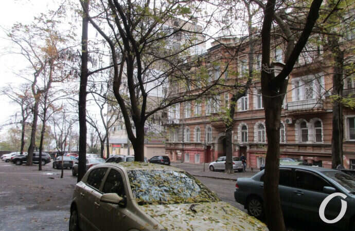 зима в Одессе