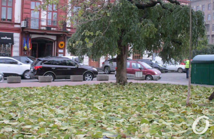 зима по-одесски