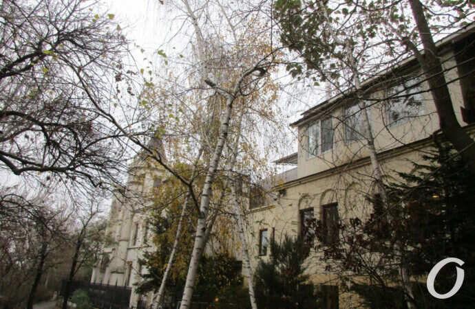 первый день зимы в Одессе