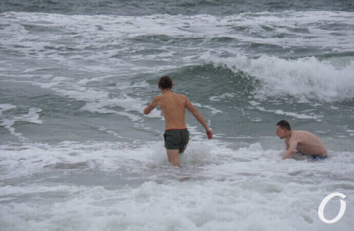 одесские моржи