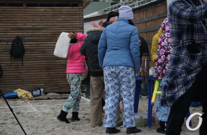 моржи в пижаме