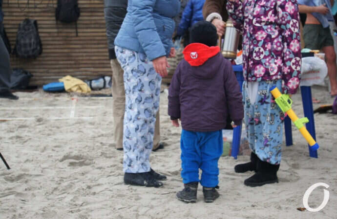 моржи с ребенком