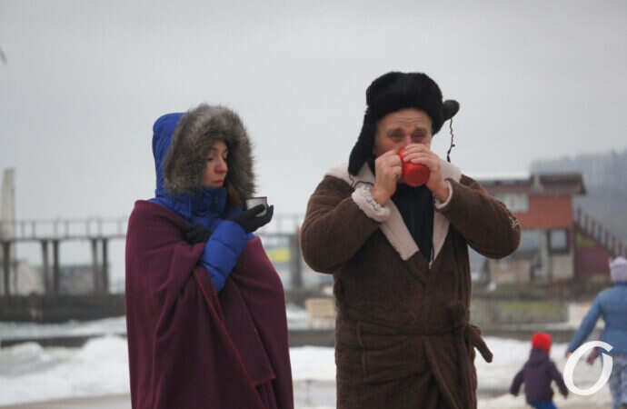 моржи пьют чай