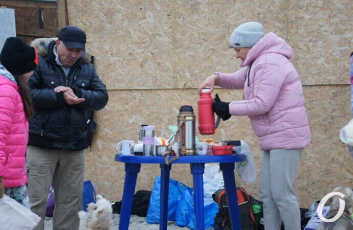 моржи согреваются