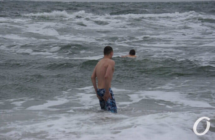 заплыв моржей в Одессе