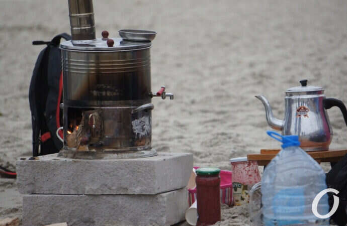 моржи греют чай