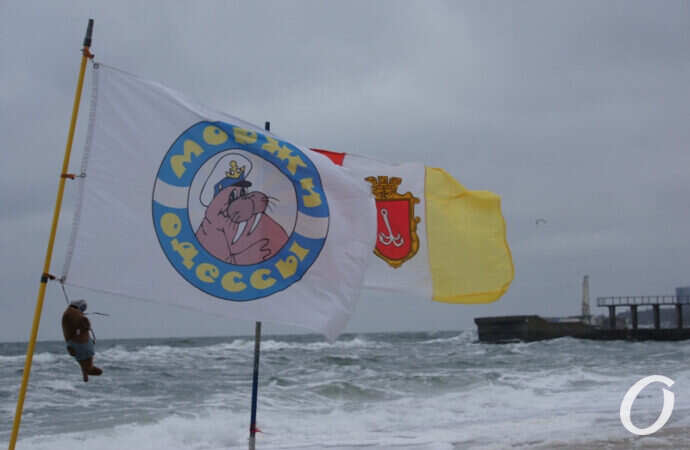 моржи Одессы