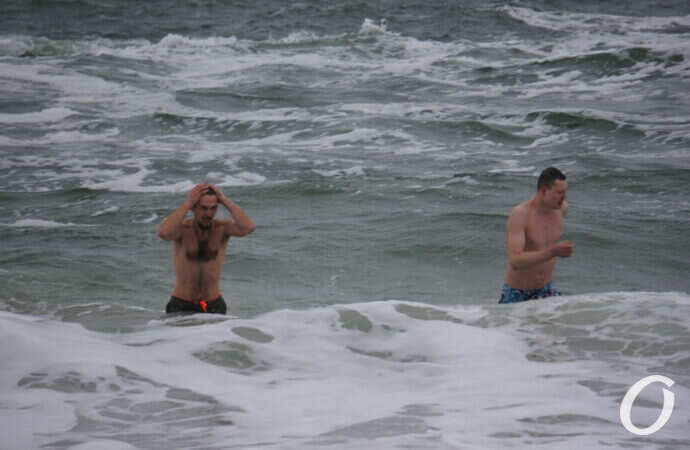 моржи купаются