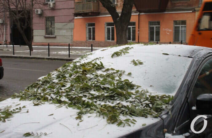 первый снег в Одесе, авто