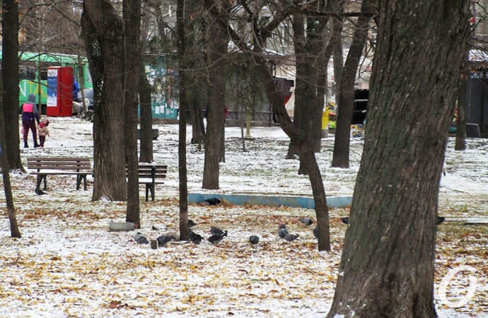 сквер Мечникова после ремонта