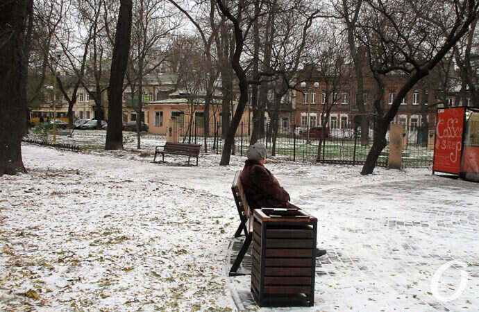 сквер Мечникова. урна