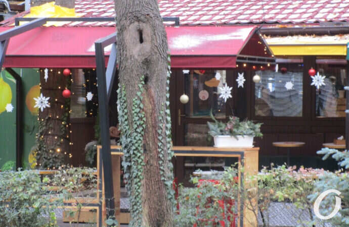 Одесса предновогодняя