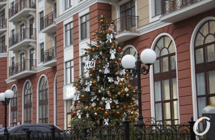 Одесса предновогодняя, елка и фонарь