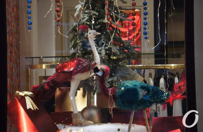 Новогодняя витрина, сказочные птицы