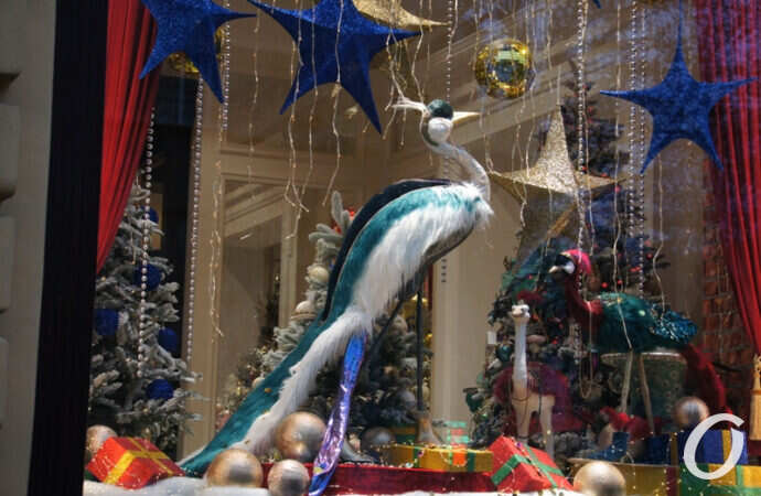 Новогодняя витрина, райская птица