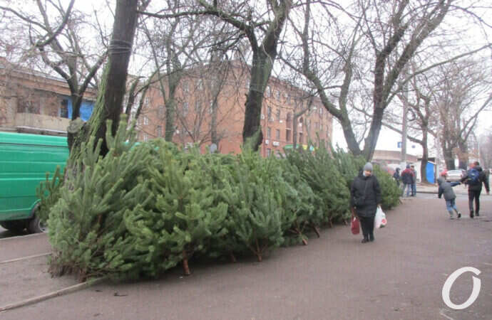 елочный базар