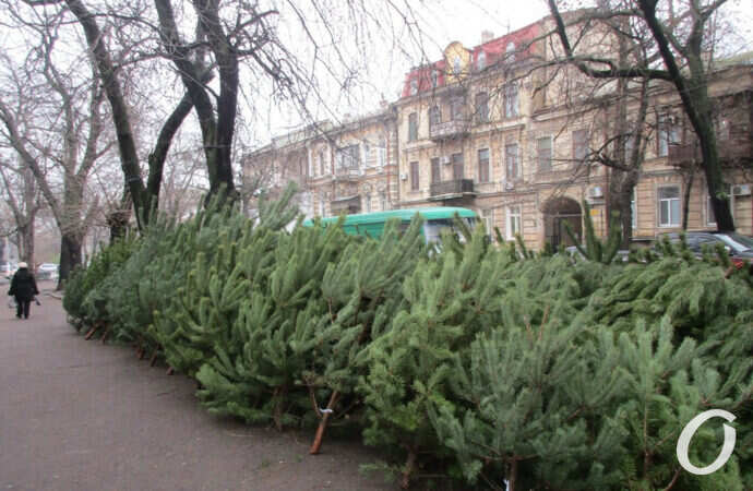 елочный базар в Одессе
