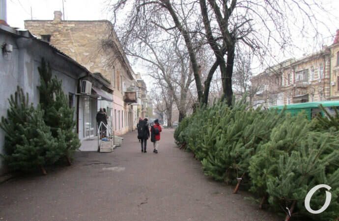 одесский елочный базар