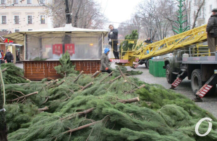 Новогодние приготовления, живые ели