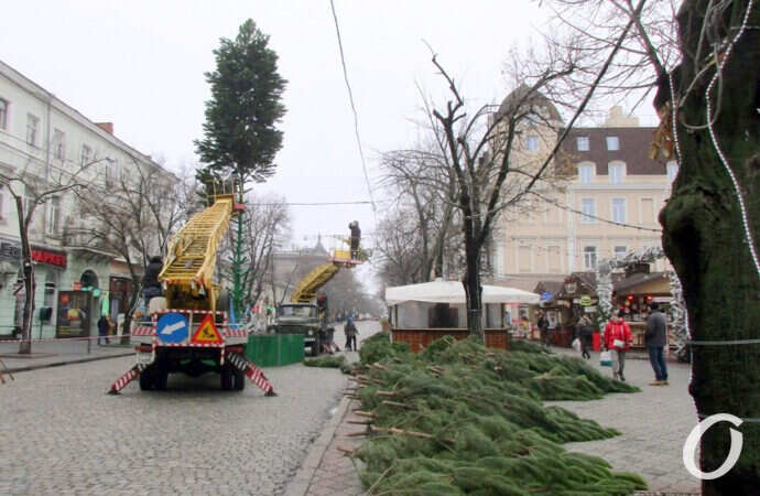 Новогодние приготовления, елка