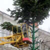 В Одессе на Дерибасовской устанавливают елку, а на Приморском бульваре — ярмарочный городок (фото)