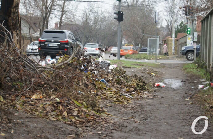 улица Чубаевская, опавшие листья
