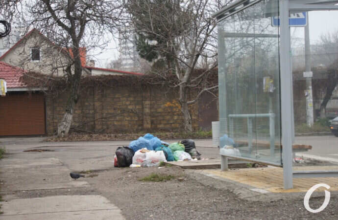 улица Чубаевская, свалка возле остановки