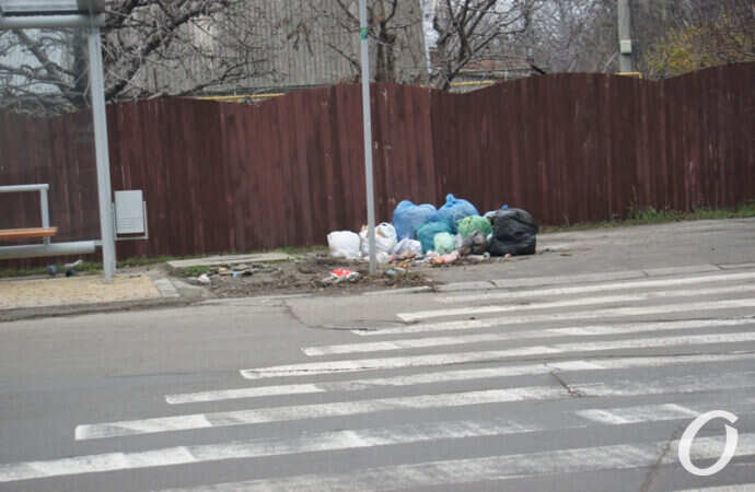 улица Чубаевская, свалка