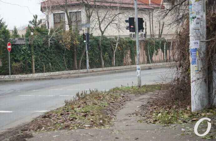 улица Чубаевская, светофор