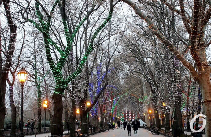 Одесские елки, бульвар