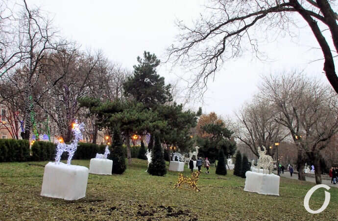 Одесские елки, зверушки в парке